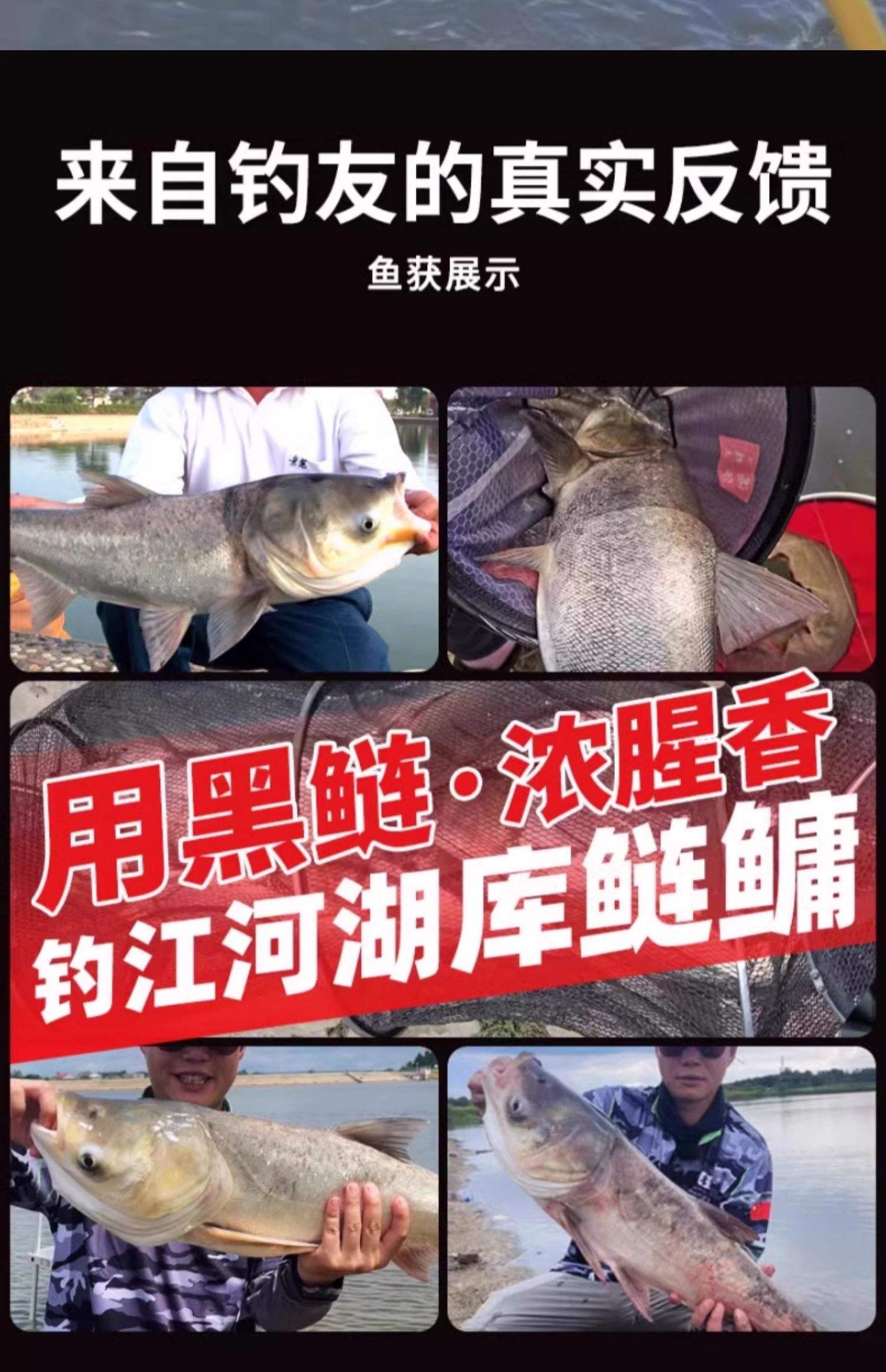 夏天长江夜钓鱼饵料(银行卡有效期在哪里查看)