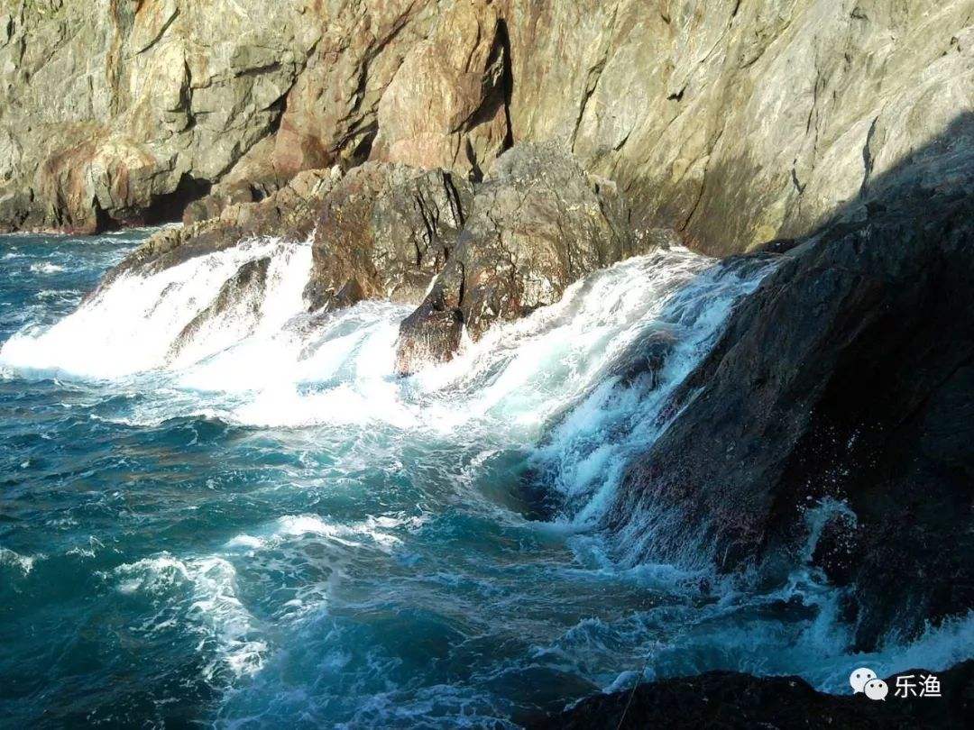 威海钓鲅鱼钓点(威海鲅鱼怎么做好吃)