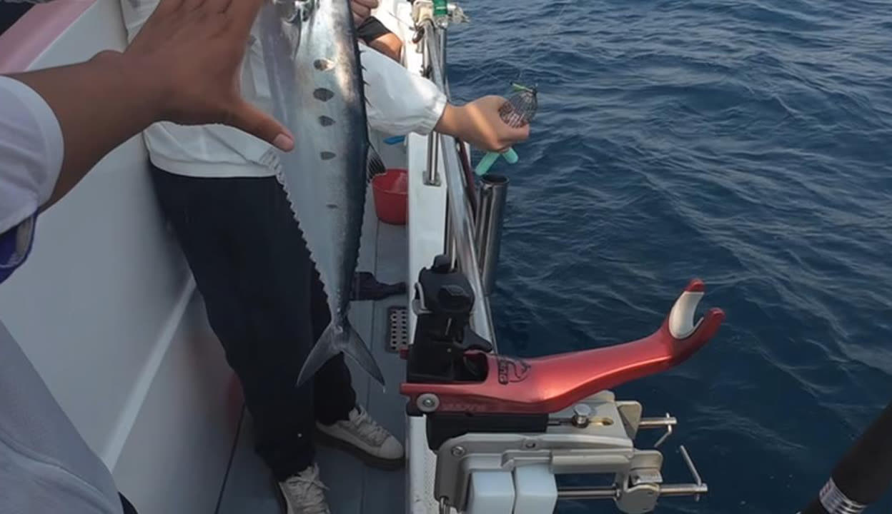 秦皇岛渤海海钓视频(秦皇岛海钓有什么好地方吗)
