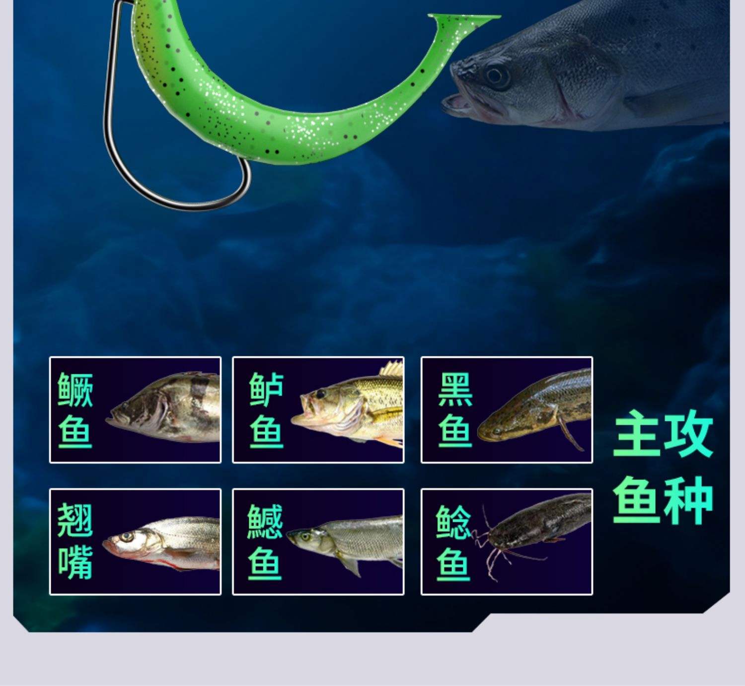 路亚鲈鱼几号线(路亚鲈鱼几号线好)