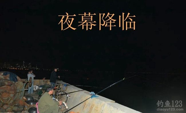 夜晚偷钓技巧(夜钓偷鱼)