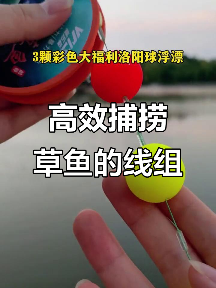 韭菜浮钓草鱼技巧(韭菜钓草鱼的方法)