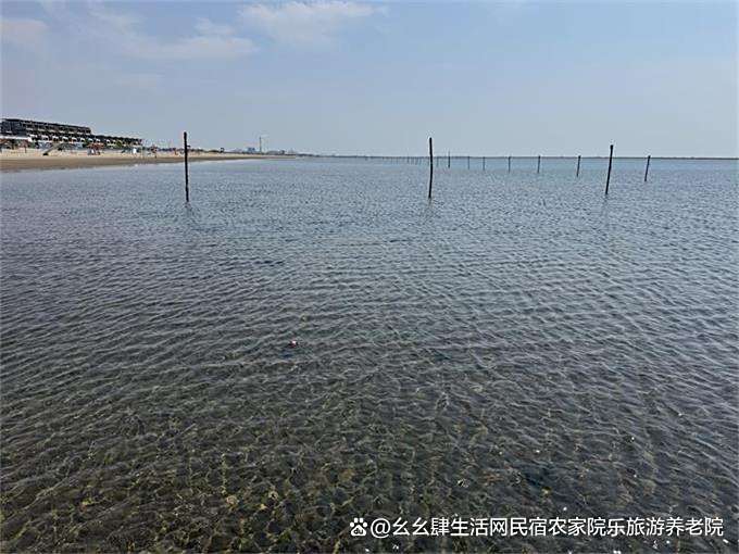 乐亭海钓地点(乐亭野钓地点)