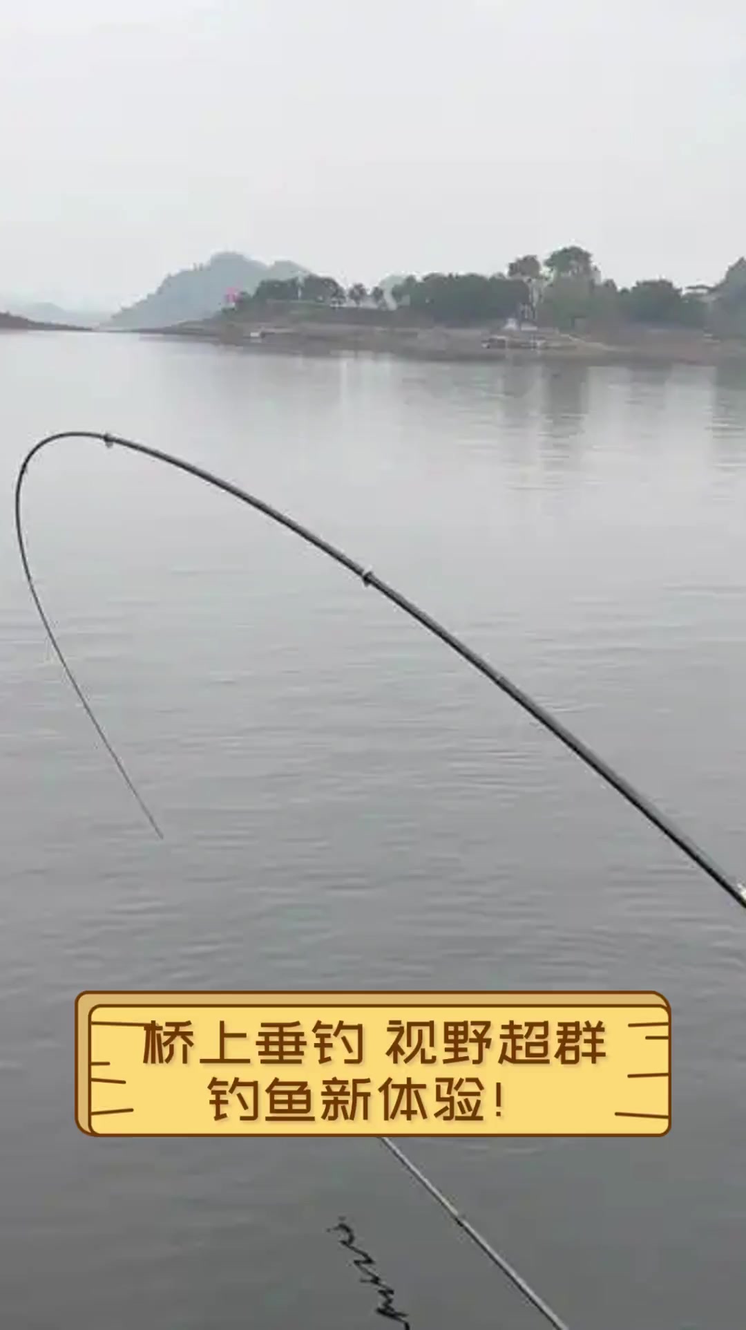 桥上筏竿钓鱼技巧视频(桥上用筏竿钓鲫鱼技巧)