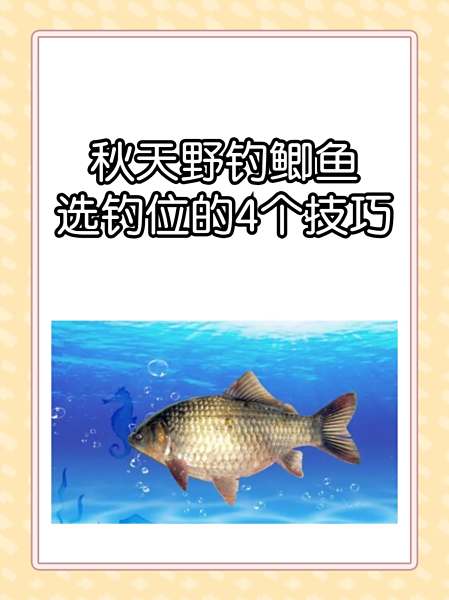 秋天钓大鲫鱼技巧(秋天钓大鲫鱼的几个绝招)