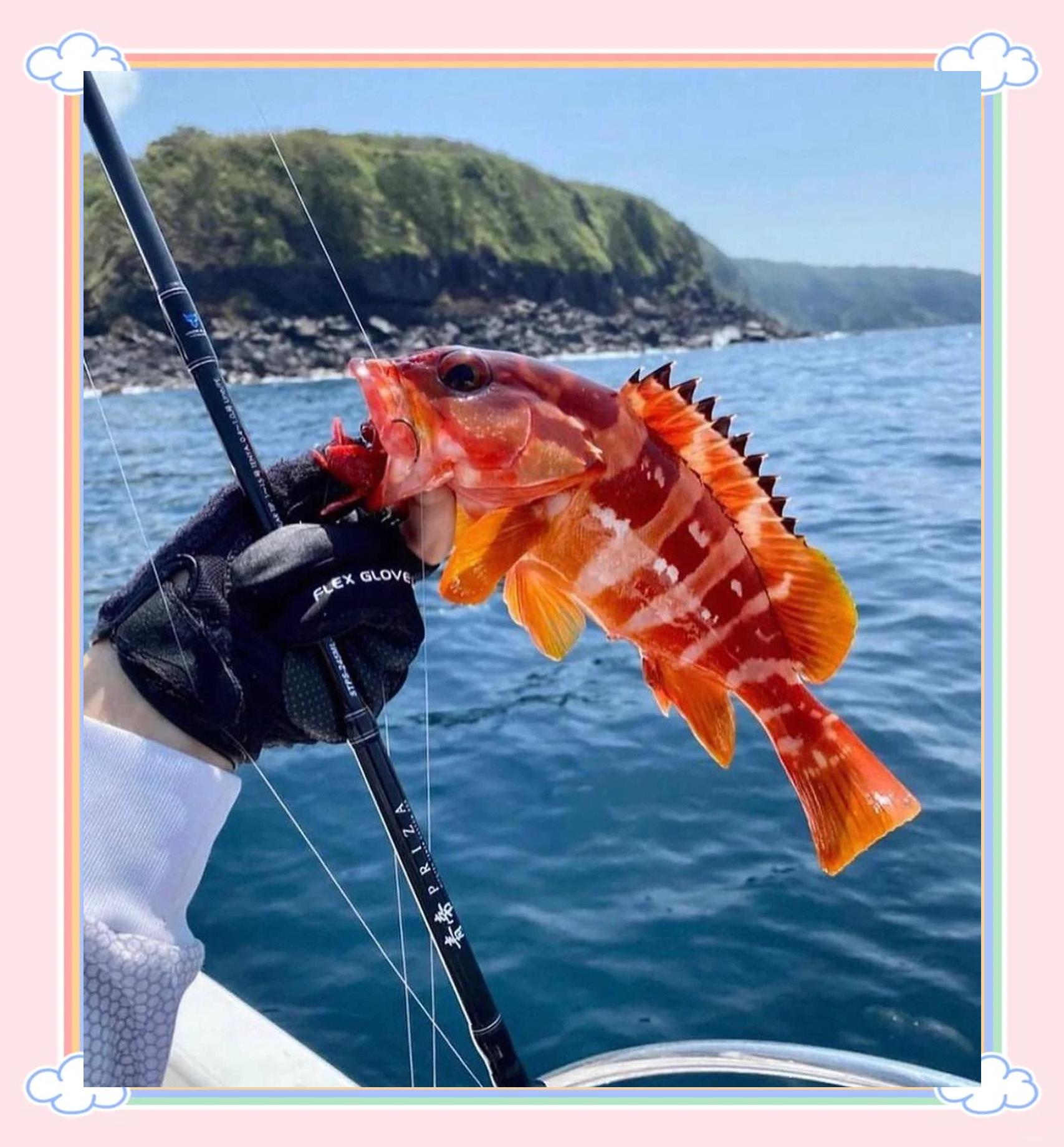 秋季大风天海钓技巧(秋天大风钓深水还是浅水)
