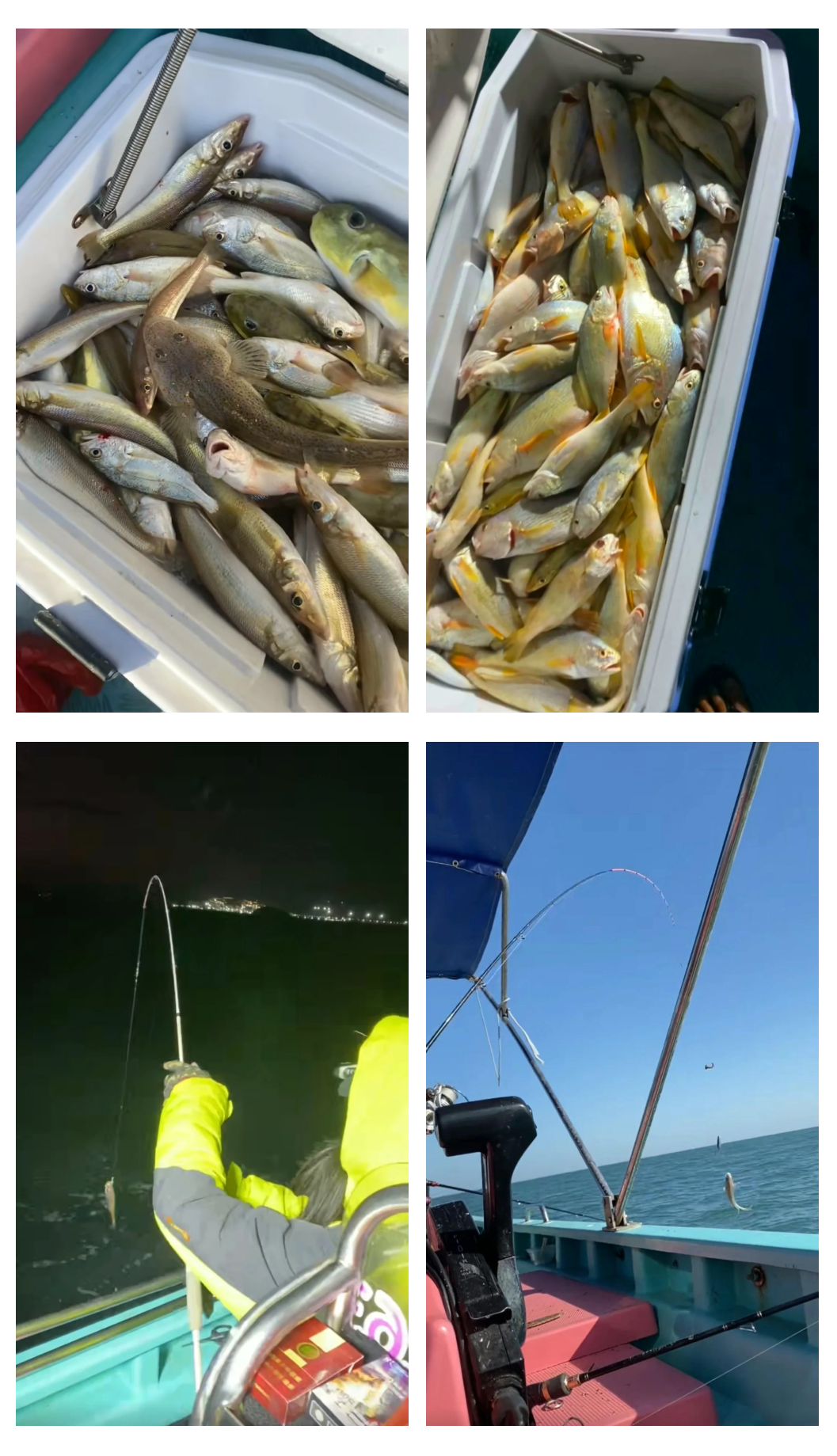 秋季大风天海钓技巧(秋天大风钓深水还是浅水)