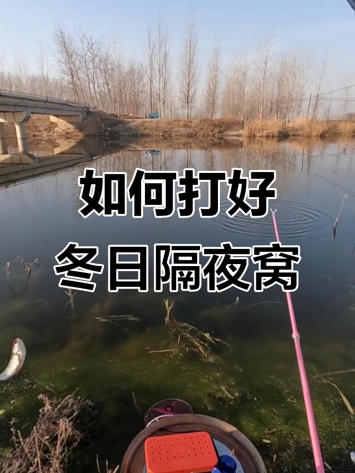 冬季野钓鲫鱼选窝技巧(冬季野钓鲫鱼选窝技巧视频)
