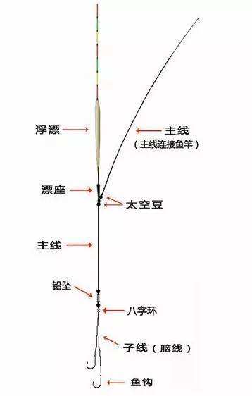 上海钓鱼线组(海钓带鱼线组图解)