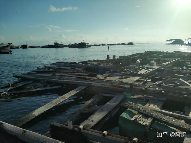 农历二十九海钓(农历二十九是大潮吗)