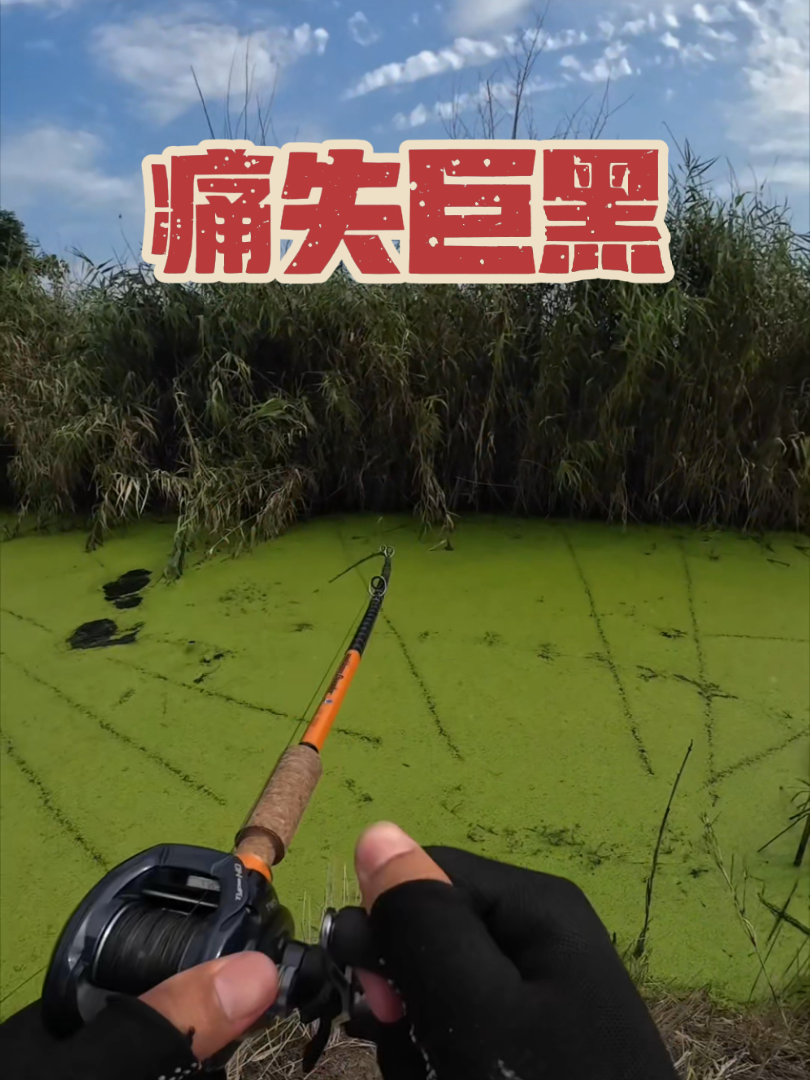 路亚打黑视频(路亚打黑需要哪些装备)