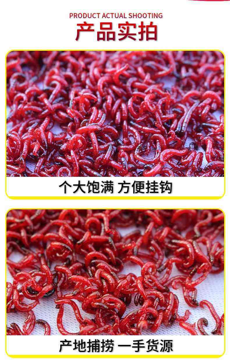 用红虫路亚(路亚红虫饵要铅坠吗)