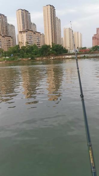 上海闸口路亚(上海jc路亚基地)