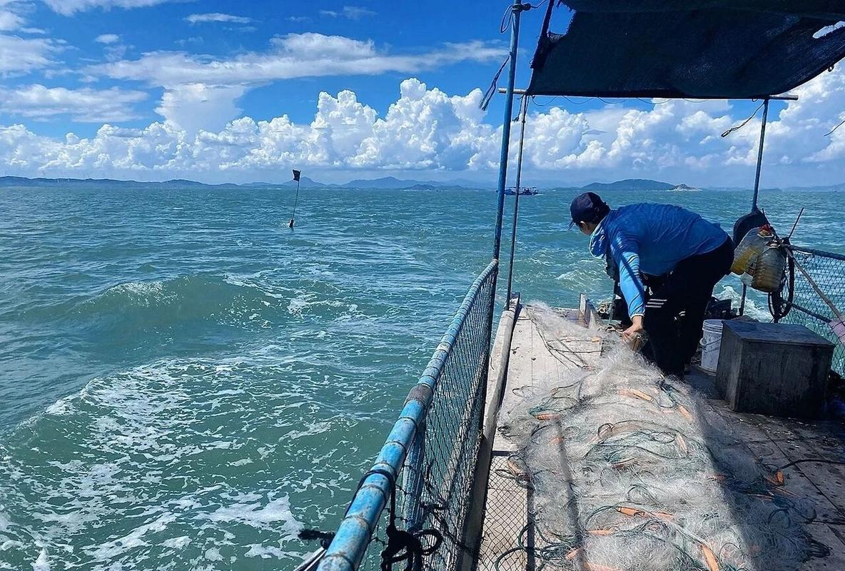 北仑海边那里海钓(宁波北仑海边可以钓鱼吗)