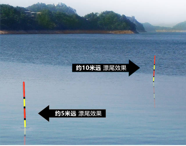 水库青鱼钓法技巧(水库野钓青鱼)