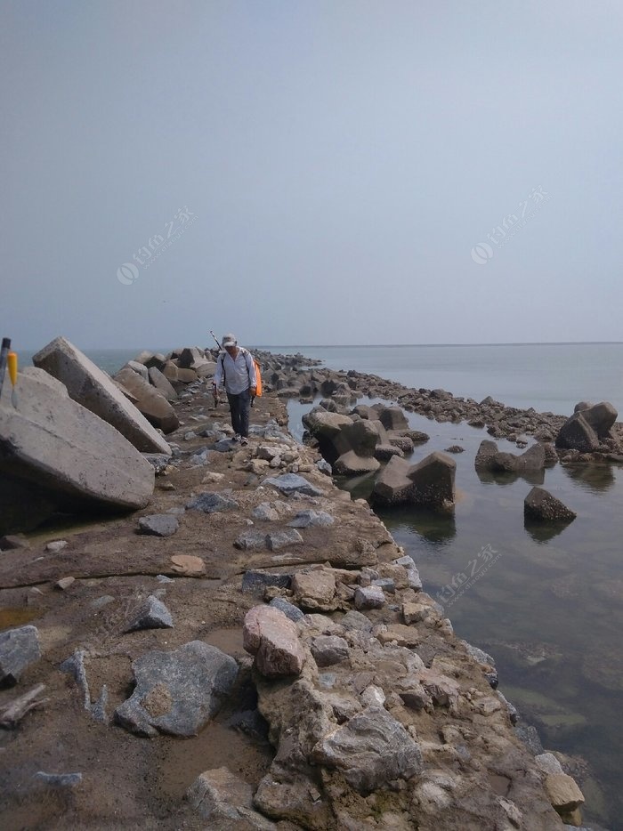 黄骅港海钓租船多少钱(烟台海钓租船多少钱)