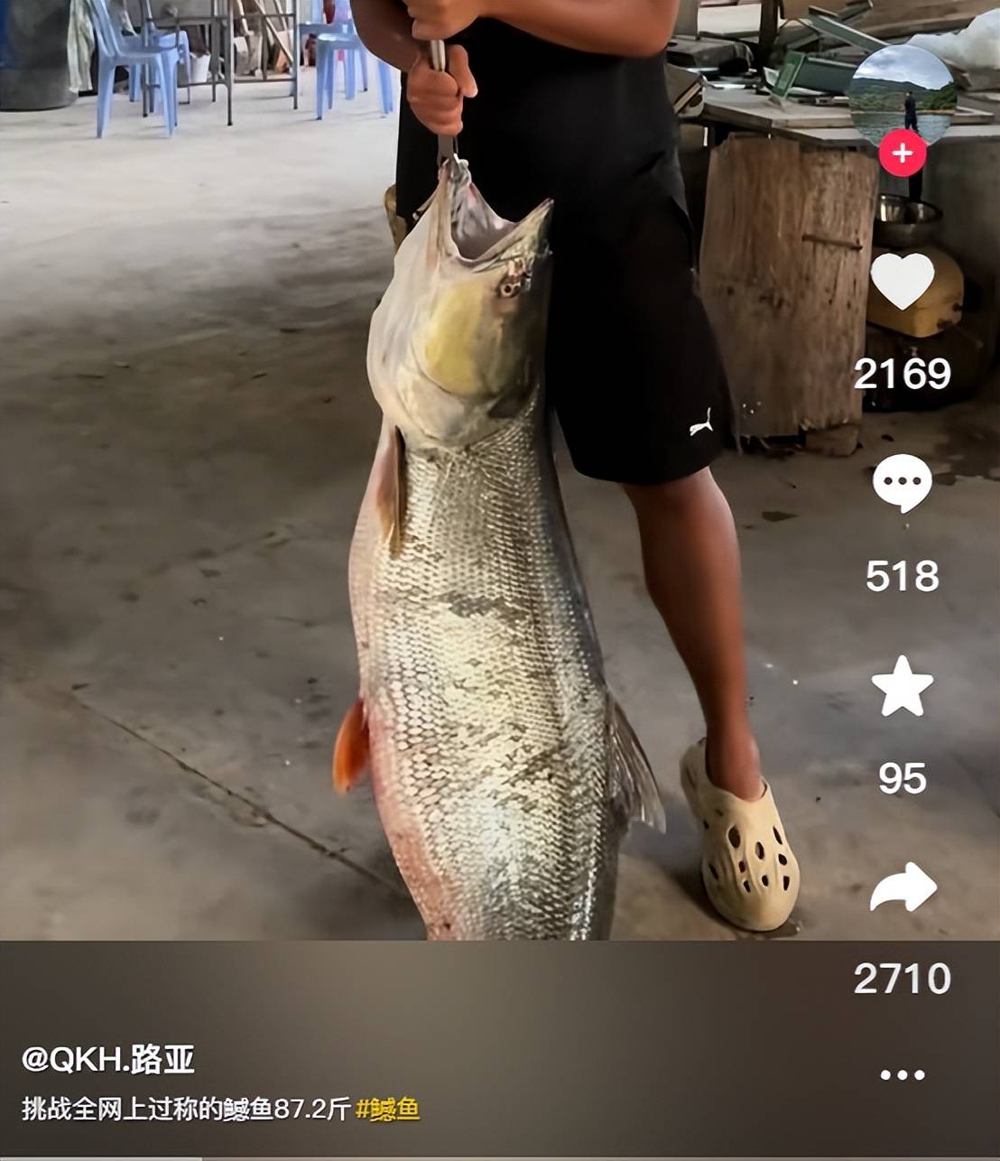 现在上海钓什么鱼(上海能钓到什么鱼)