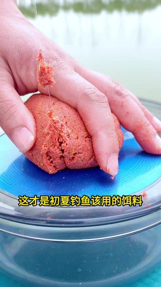 初夏饵料的选择(初夏钓鱼饵料)