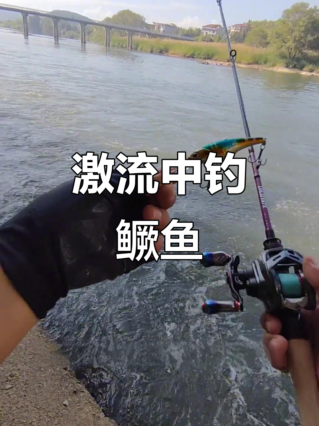 急流钓鱼技巧(急流最佳钓法解说视频)
