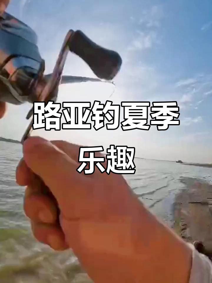 富锦钓鱼路亚(路亚公认十大特种饵)