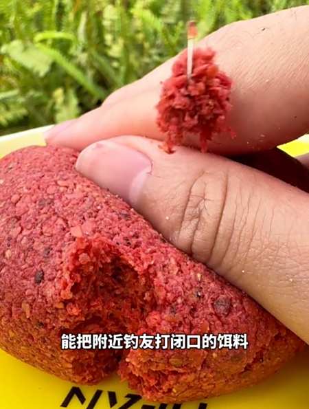 蒜蓉饵料(正宗蒜蓉调料比例)