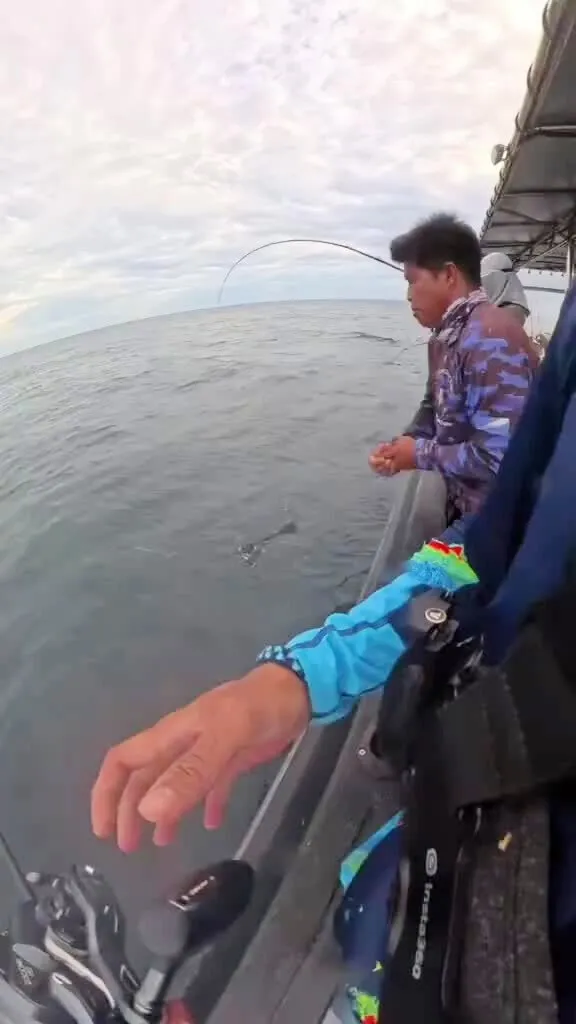 海钓溜鱼的技巧视频(海钓怎么溜鱼)
