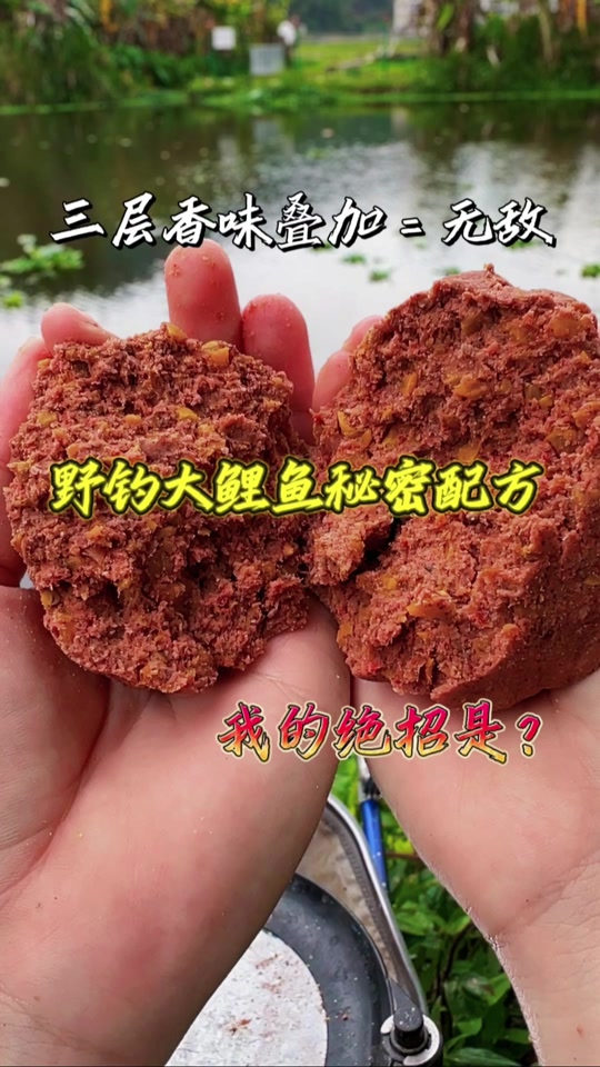 民间钓鱼饵料绝技(民间钓鱼配方)