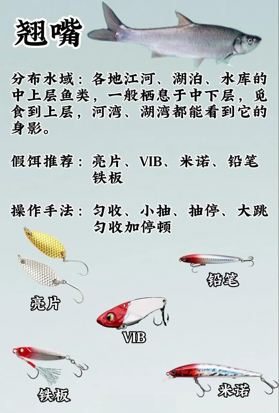 钓鱼商品饵料配方大全(钓鱼技巧与饵料配方视频讲解)