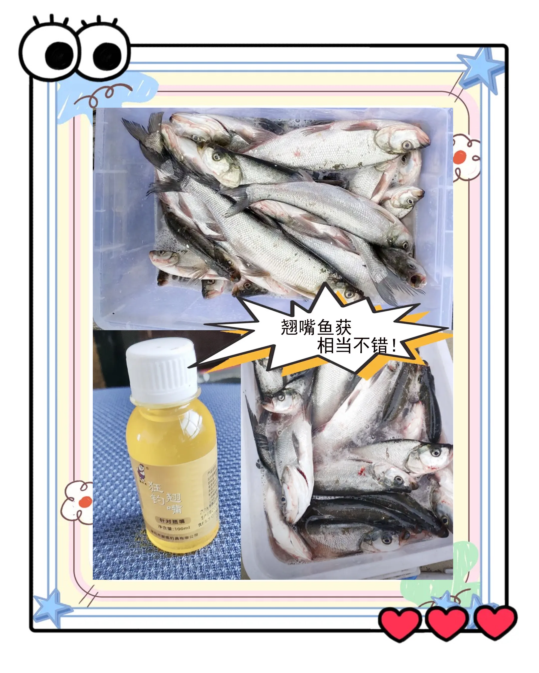 饵料中加玉米渣钓鲤鱼(玉米渣可以钓鱼吗)