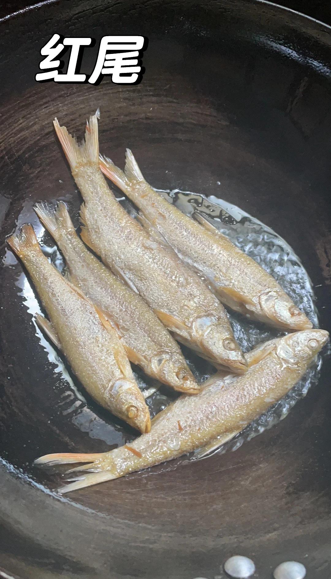 冬钓红尾鱼技巧(冬天钓红尾鱼钓底还是钓浮)