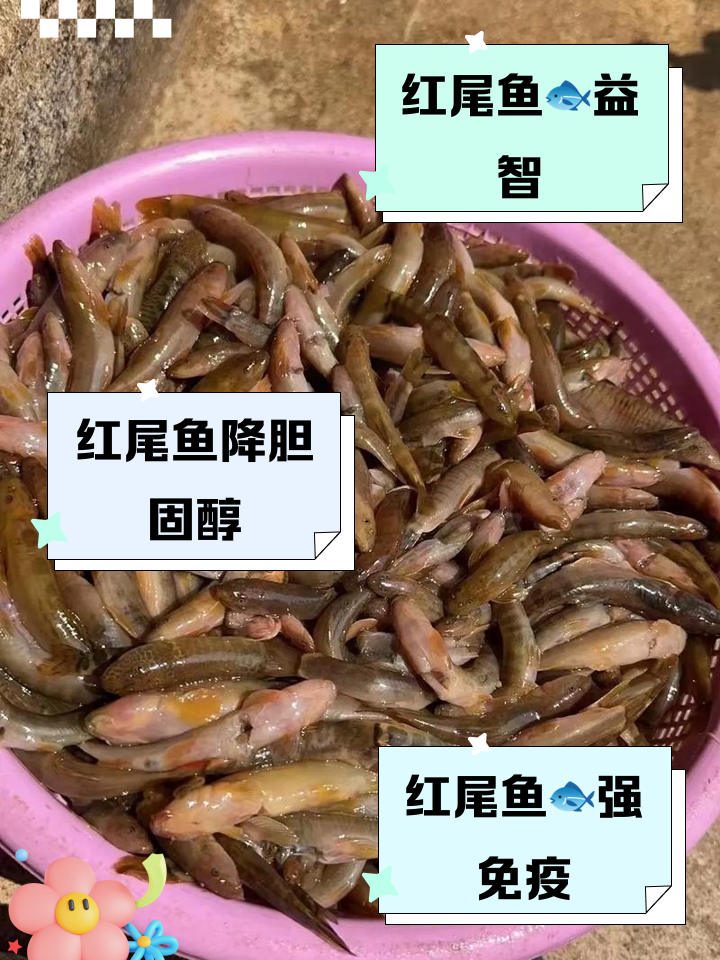 冬钓红尾鱼技巧(冬天钓红尾鱼钓底还是钓浮)