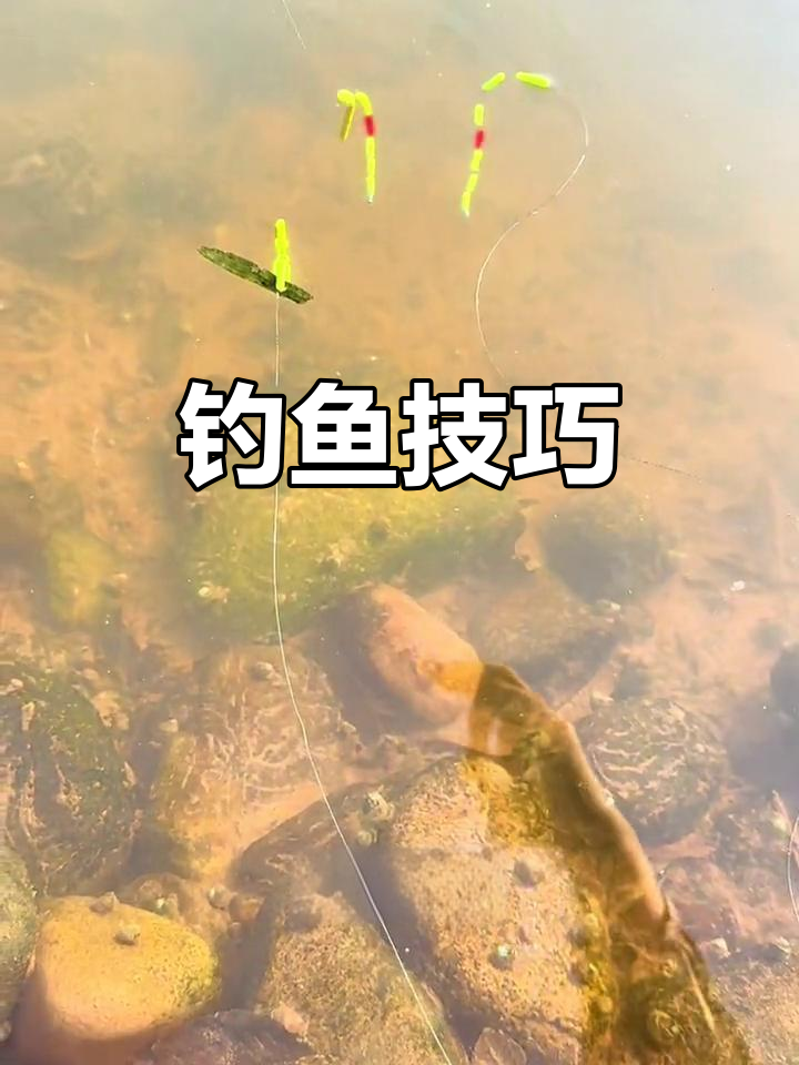 沉钓技巧(沉钓钓竿用法)