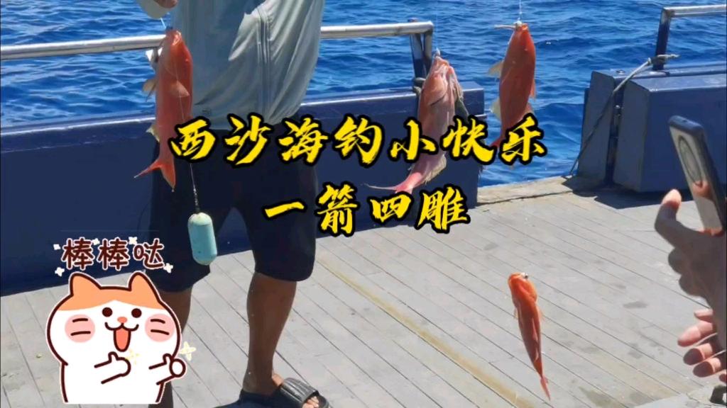 海钓雕(中国海钓网官网)