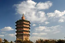 安阳巨鸟渔具(威海渔具十大排名)