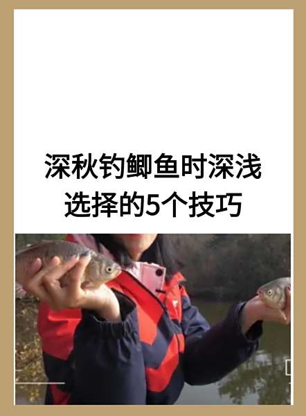 深秋钓鲫鱼技巧大全(深秋钓大鲫鱼的4个套路)