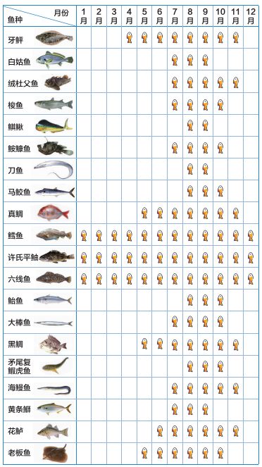 海钓六线黄鱼技巧(海黄鱼怎么钓)