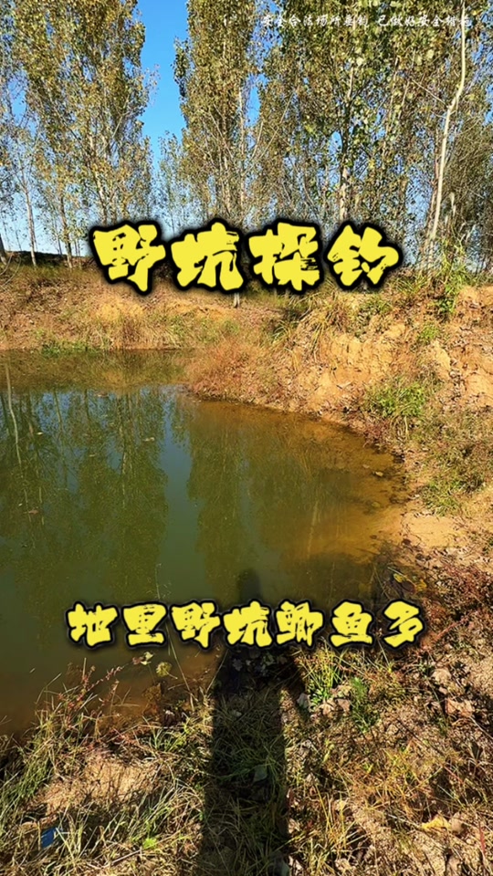 野塘冬钓鲫鱼技巧(初冬野塘怎么钓)
