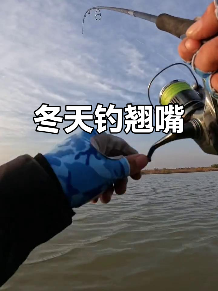 冬钓翘嘴技巧(冬季钓翘嘴技巧)