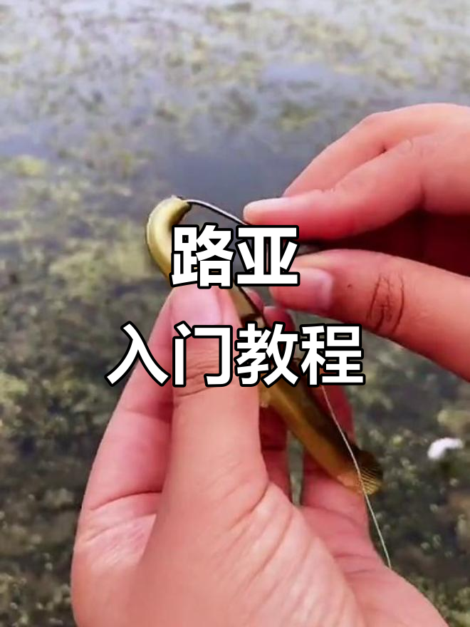 路亚中级教学(新手路亚10大忠告)