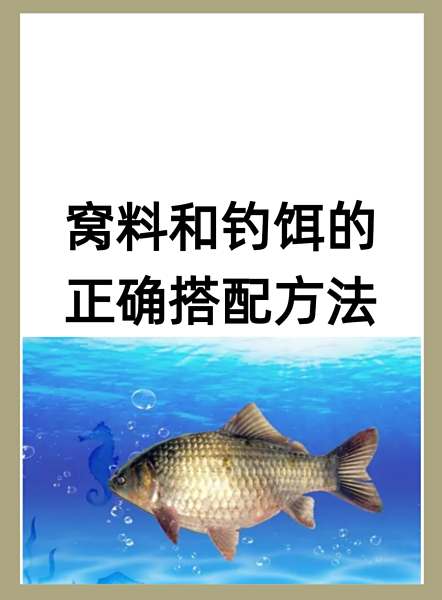 秋天钓黑坑技巧(秋天钓黑坑技巧和方法)