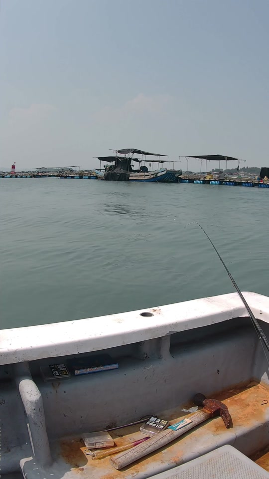 漳州海钓钓场(漳州哪里可以海钓离市区近点的)