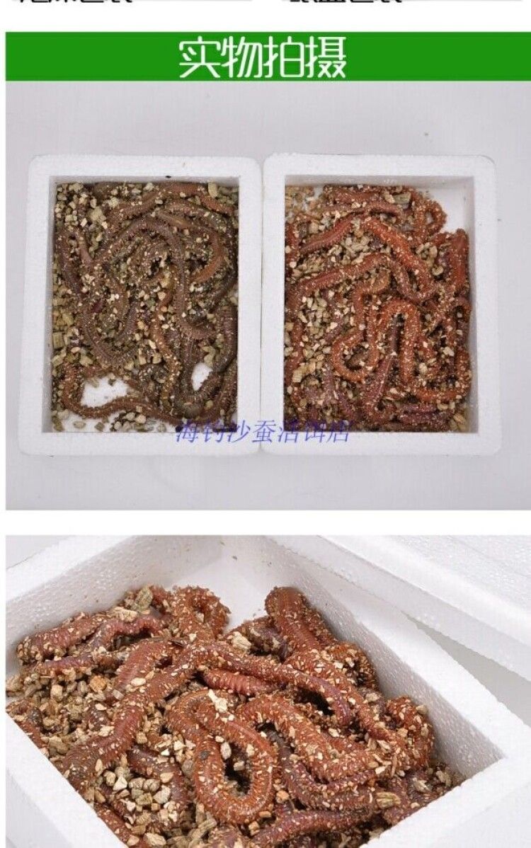 小型活饵料有哪些(小型饵料机图片及价格)