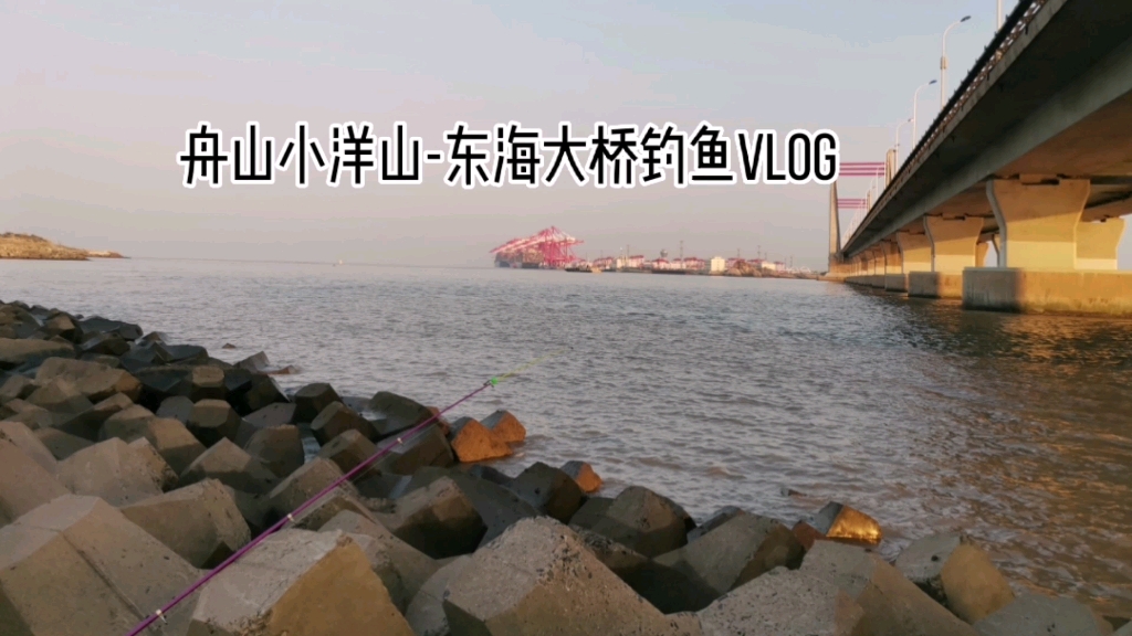 小洋山海钓路线(小洋山海边)