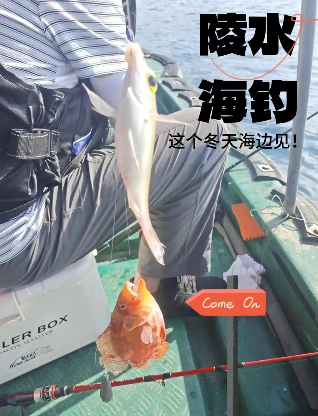 伐竿鱼排海钓技巧(伐竿鱼排海钓技巧视频)