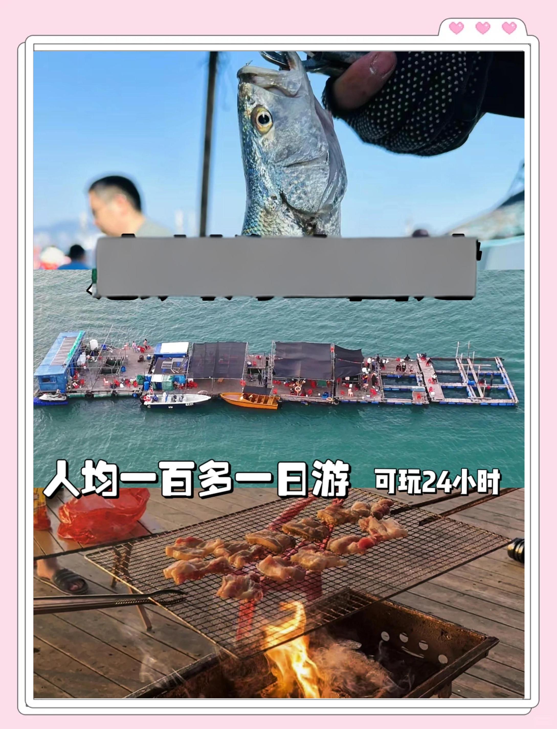 伐竿鱼排海钓技巧(伐竿鱼排海钓技巧视频)