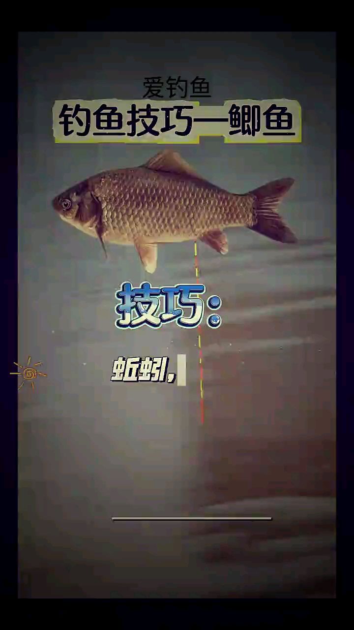 钓小鲫鱼技巧视频高清(如何钓小鲫鱼视频)