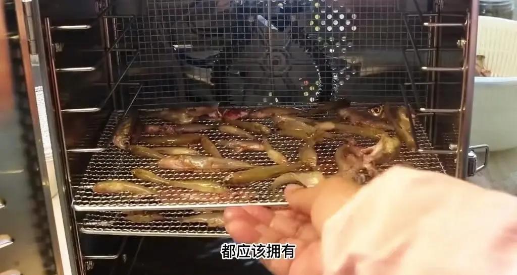 自己制作饵料(自己制作饵料配方)