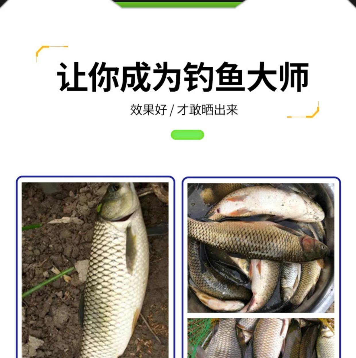 蓝卿饵料(蓝刀鱼用什么饵料钓)