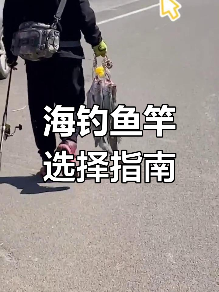 路亚能海钓(路亚海钓用什么饵最好)