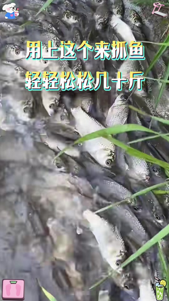 冬天水库结冰逮鱼技巧(冬天水库结冰怎么钓鱼)